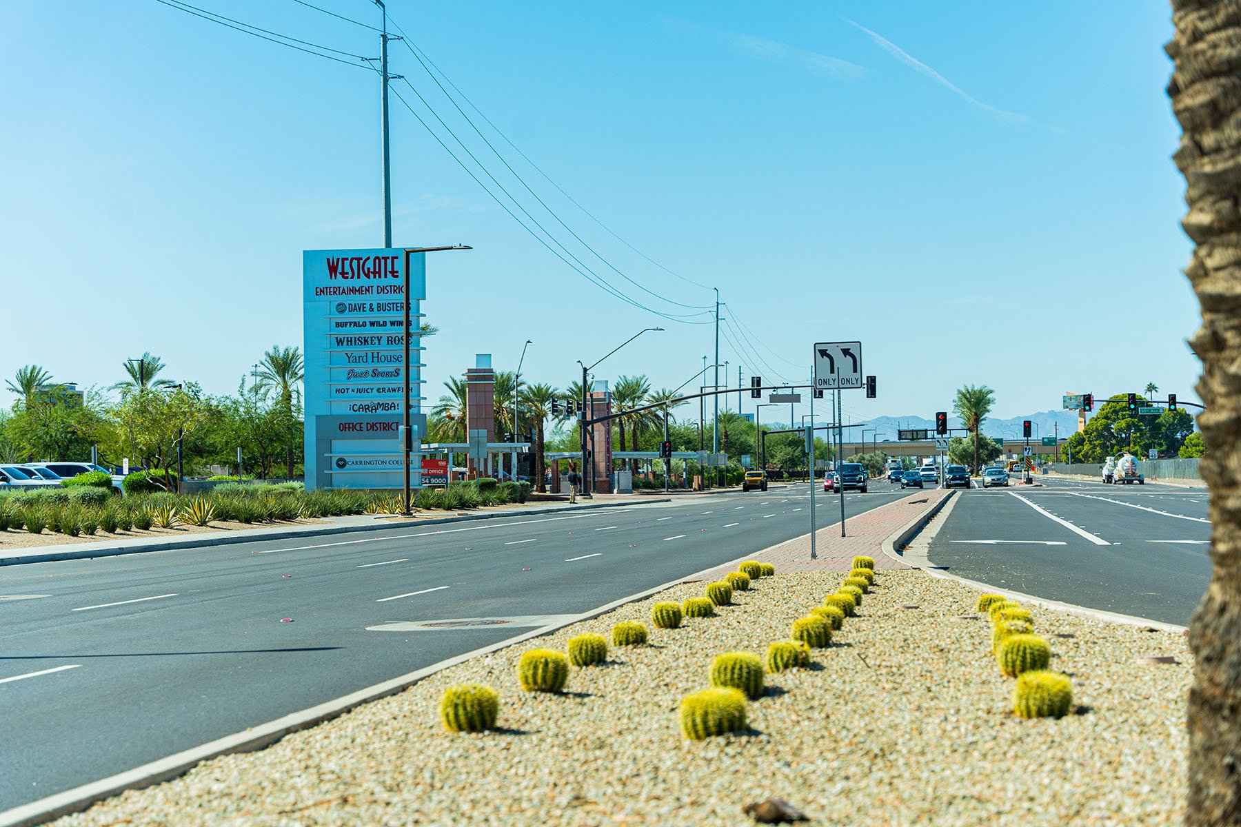 small cactus in median, landscapers phoenix az