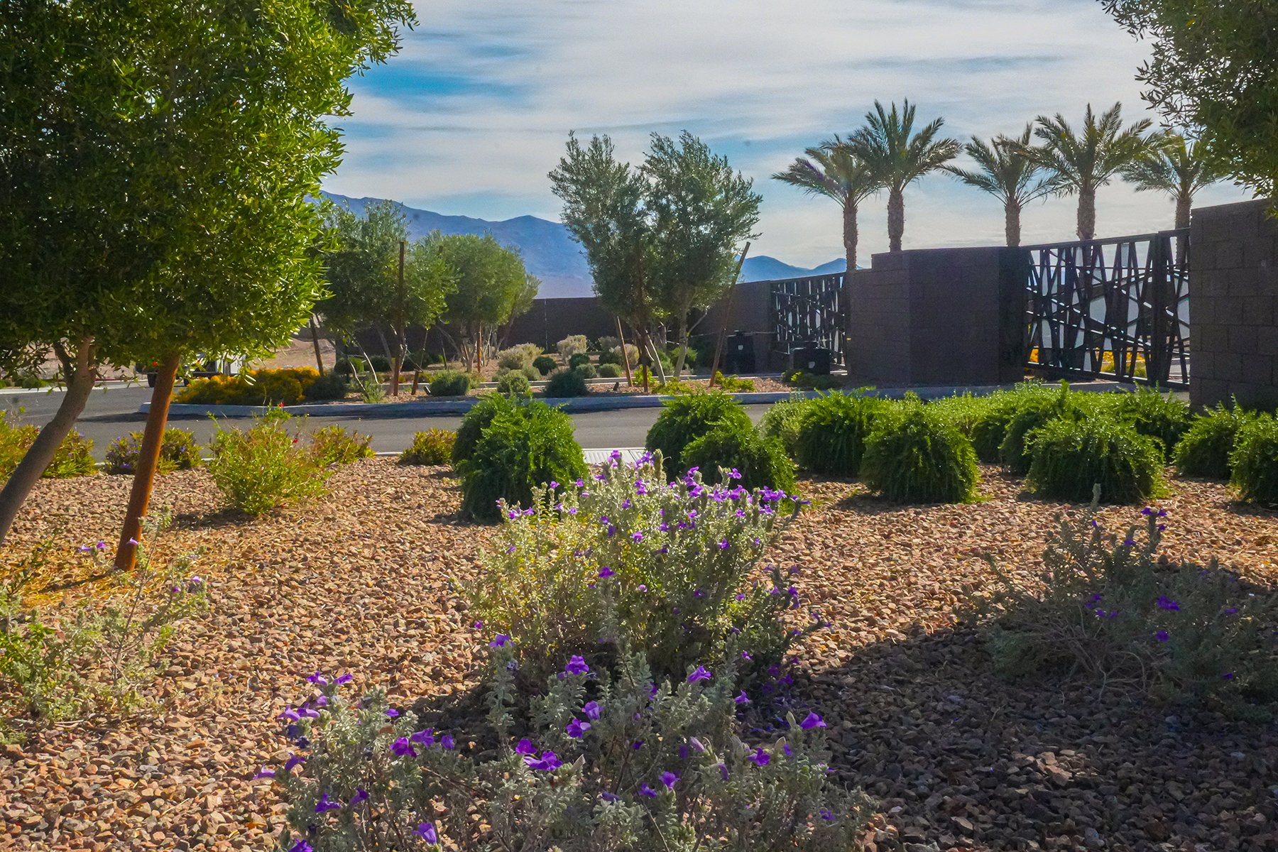 Las Vegas Landscape Design at Front Entrance 