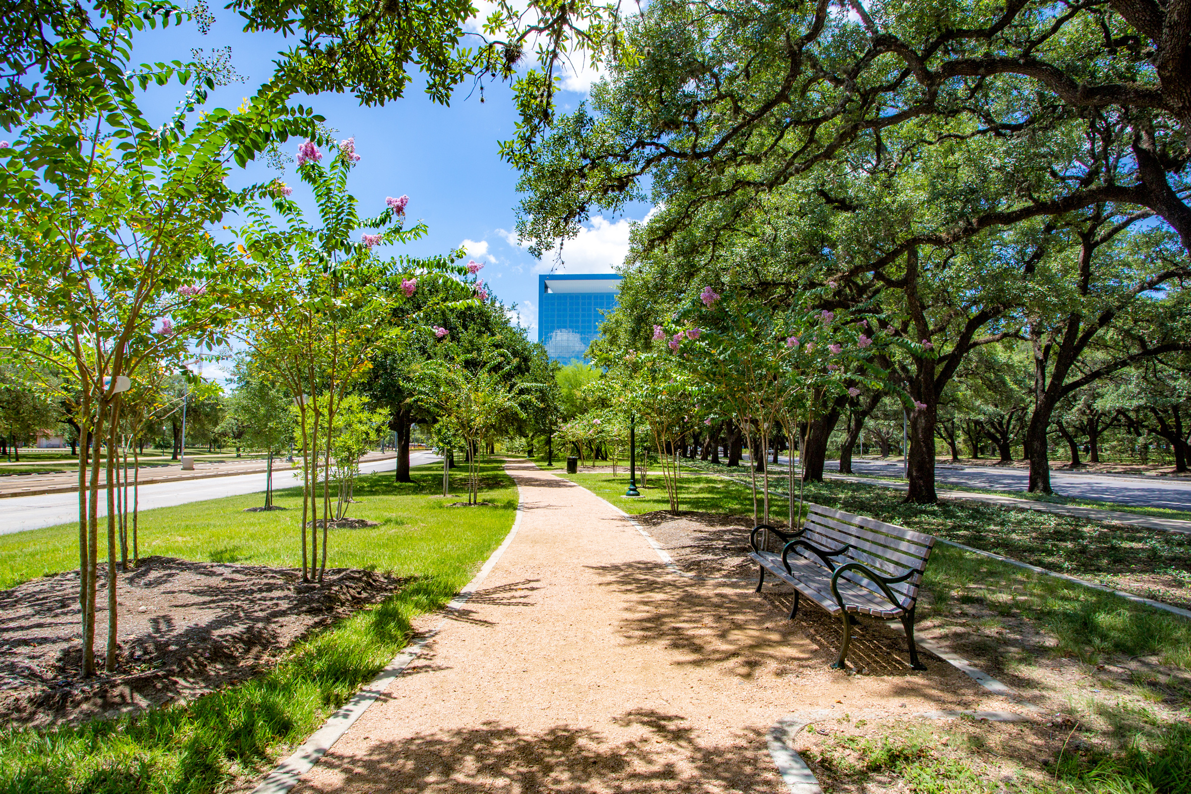 Pacific Green Landscape Maintenance